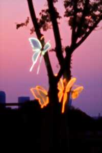 photo Café du mercredi et spectacle 