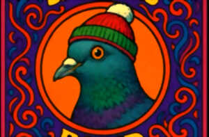 photo Concert | The Pigeon Sniffers