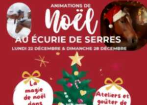 photo Animations de Noël au écurie de Serres