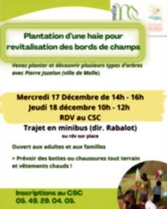 photo Plantation d'une haie