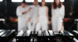 photo Visite de l'instrumentarium + concert des Percussions de Strasbourg