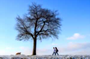 photo Marche hivernale