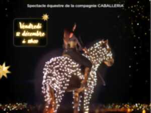 photo Spectacle équestre - A la recherche de l'étoile des voeux