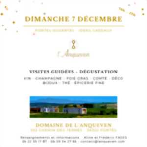 photo PORTES OUVERTES SPECIALES FETES