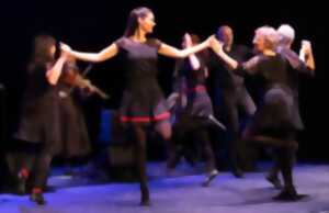 photo Stage de Danses Irlandaises