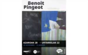 photo Exposition de Benoît Pingeot : L'ANSE