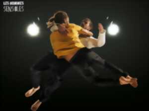 photo SPECTACLE ACROBATIQUE : SENSIBLE