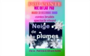 photo Neige de plumes   conte'spectacle