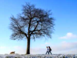 photo Marche hivernale