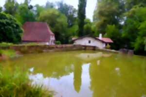 photo Visite guidée : Moulin de Candau