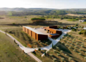 photo DE PIERRES ET D'OLIVIERS