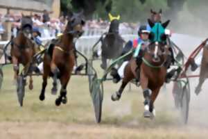 photo Courses hippiques - Trot