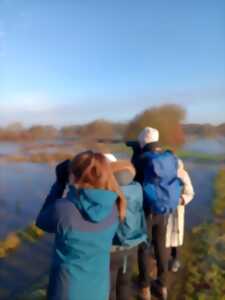 photo Marais blancs et oiseaux hivernants