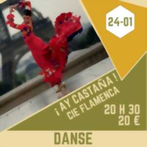 photo ! AY CASTAÑA ! [Séchoir d'Aillac]