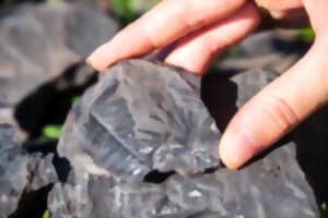 photo SUR LA TRACE DES FOSSILES