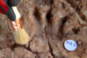 photo LA DALLE DE LA LIEUDE, TÉMOIN D’UN MONDE OUBLIÉ