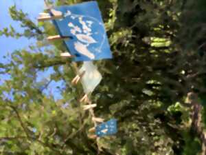 photo LES ATELIERS DE LA CABANE : DÉCOUVERTE DU CYANOTYPE