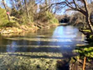 photo LA SOURCE QUI NOUS RESSOURCE