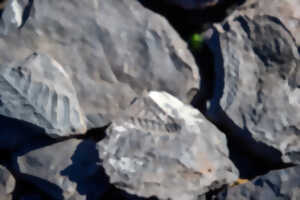 photo EXPOSITION : GÉOLOGIE ET PAYSAGES : DE LA PLANÈTE À L’HÉRAULT