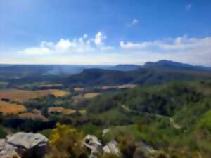 photo PORTRAIT D'UN PAYSAGE