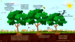 photo L’AGROFORESTERIE M’A DIT ….. OBSERVER, ÉCOUTER, JOUER, COMPRENDRE…