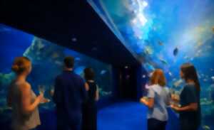 photo Balade gourmande à l’Aquarium de Biarritz