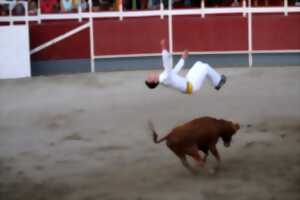 photo Courses landaises