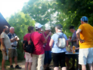 photo La Marche Gourmande de l'étang de Goule