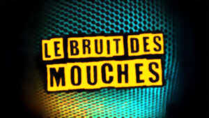 photo Spectacle : Le Bruit des Mouches
