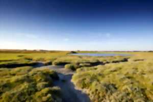 photo Visite commentée de l'Office de Tourisme : Balade dans le Havre de la Vanlée