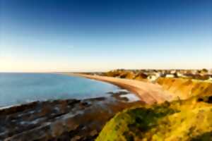 photo Visite commentée de l'Office de Tourisme : A la découverte de Donville-les-Bains