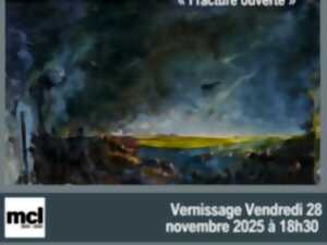 photo Exposition - Johannes Felder, fracture ouverte »