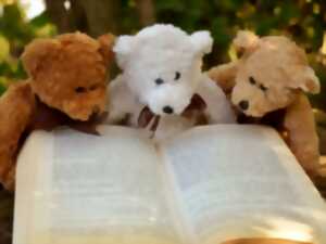 photo Doudous lecteurs 