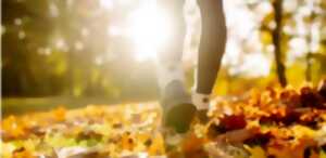 photo Balade patrimoine artisanal et commercial - bourg de Fenioux