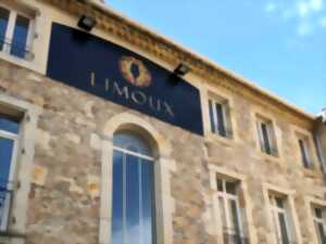 photo 3ÈMES RENCONTRES VIGNERONNES