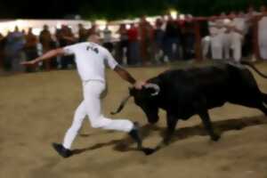 photo Courses de vaches au centre ville