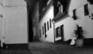 photo Exposition de Jean-Louis Saelens