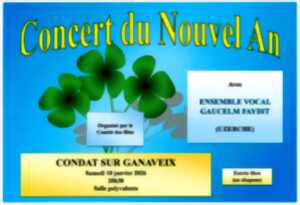 photo Concert du Nouvel An