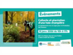 photo Sauvons ensemble des jeunes plants d'arbres