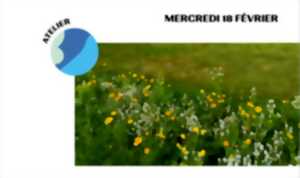 photo Atelier mauvaises herbes