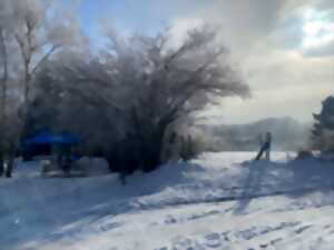 photo Balade gourmande hivernale