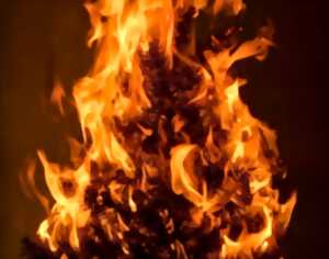 photo Crémation des sapins de Noël