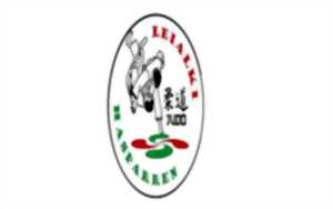 photo Compétition départementale de judo