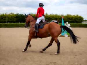 photo Concours de Saut d'Obstacles - ACEVA