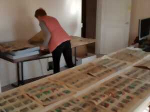 photo Le vendredi aux archives