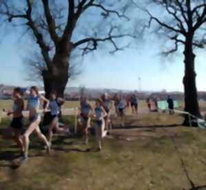 photo Championnat départemental Cross Country