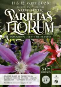 photo 34ème édition Varietas Florum, vente de plantes