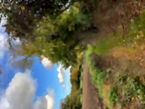 photo Rando mensuelle des Sentiers du Perche