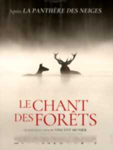photo Cinéma Laruns : Le Chant des forêts