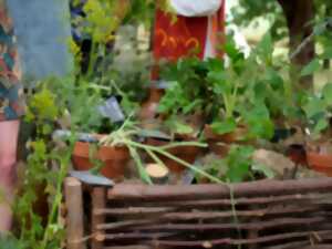 photo Troc de plantes